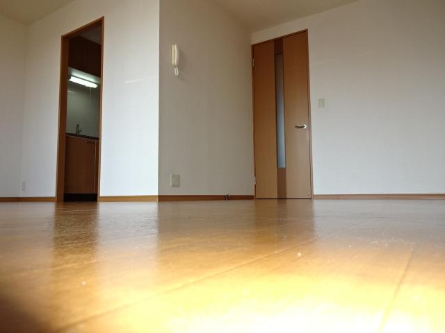 フレンドシップＳＨＯＮＡＮ その他6