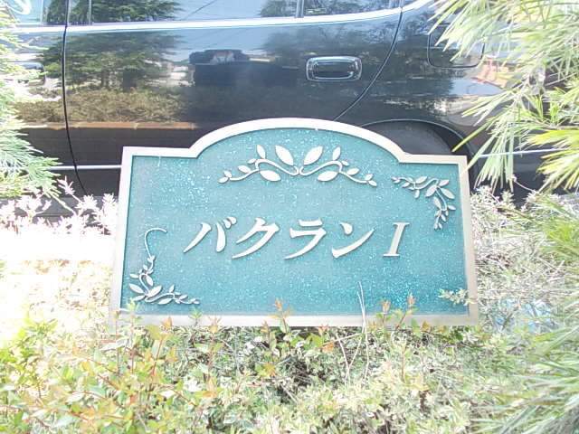 バクランⅠ その他1