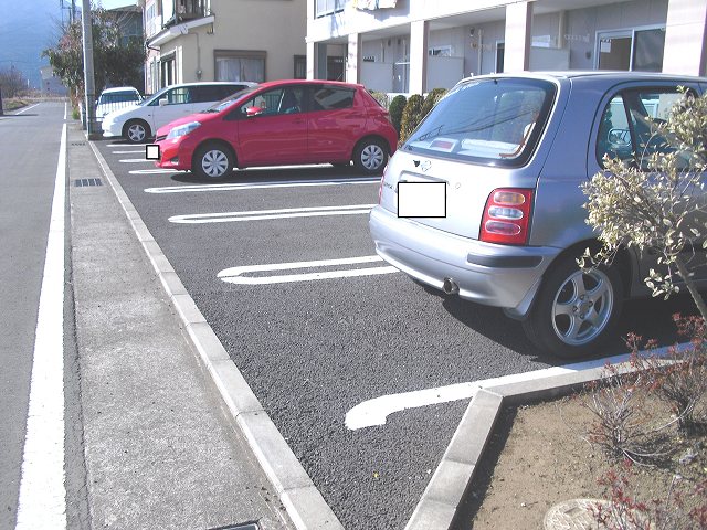 エタニティローズ その他5