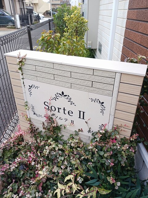 Ｓｏｒｔｅ２ その他1