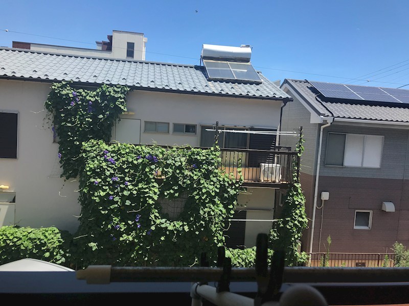 グレース・平塚 その他6