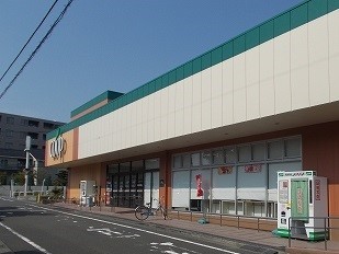 セゾン　アキ その他