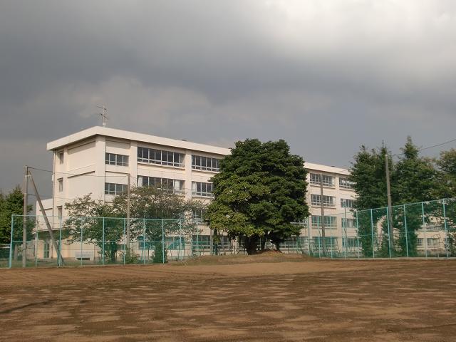 フレンドシップＳＨＯＮＡＮ その他