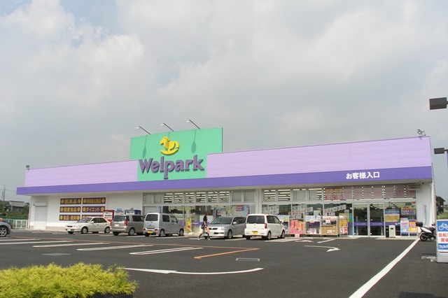 東建ニューハイツ海老名 周辺画像3