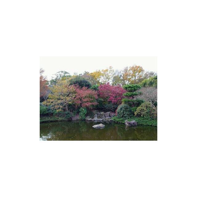 カーム鵠沼 周辺画像5