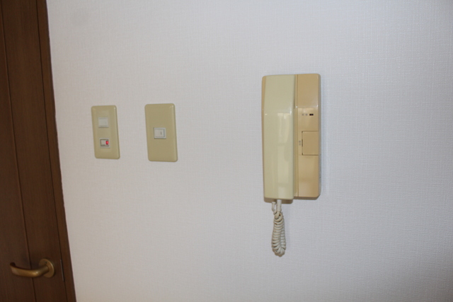 FOLIAR その他2