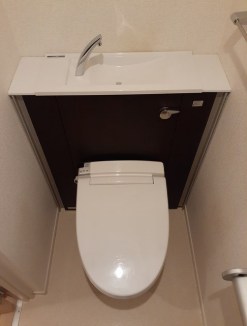 sole di fiore その他1