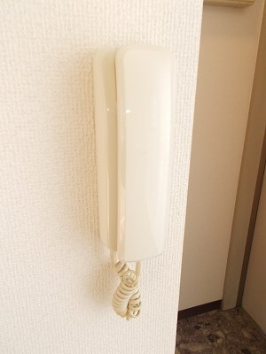 ニューハイツ柿沢 その他7