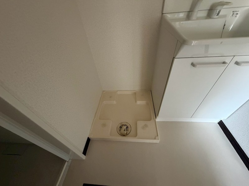 グリーンズパレット その他