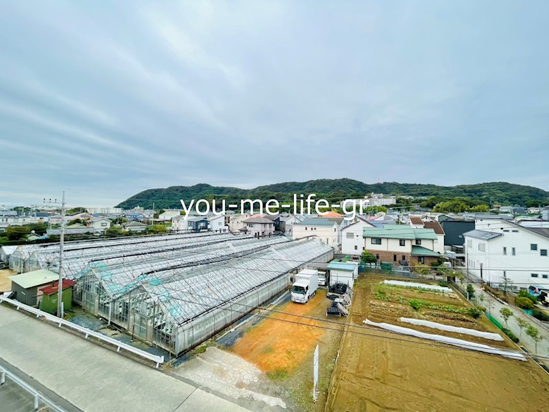 サンパレス湘南Ⅲ その他4