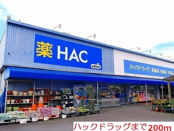 パーム・ツリー その他外観1