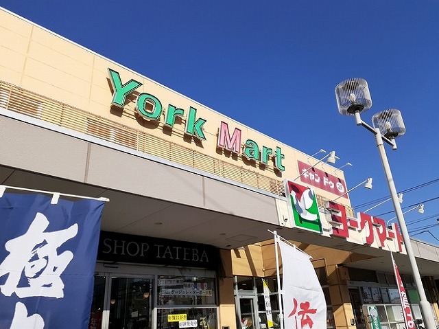 フジマーレⅡ その他外観1