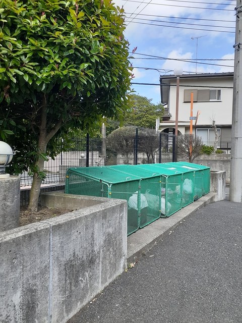 アルドーレ　芹沢 その他7
