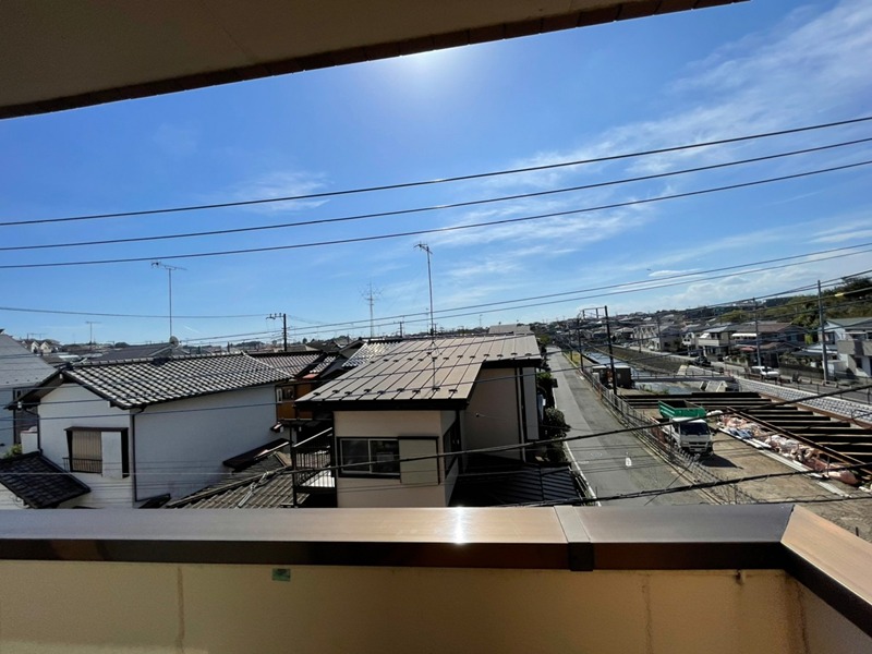 野桜 その他4