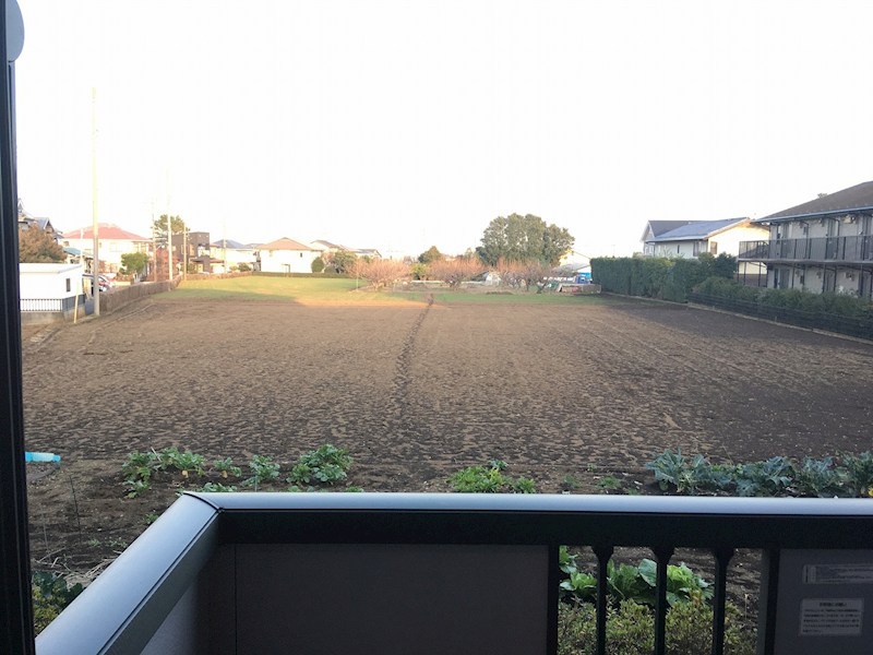 シティーパル楓 その他6