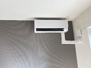 リヴィエール桜 その他6