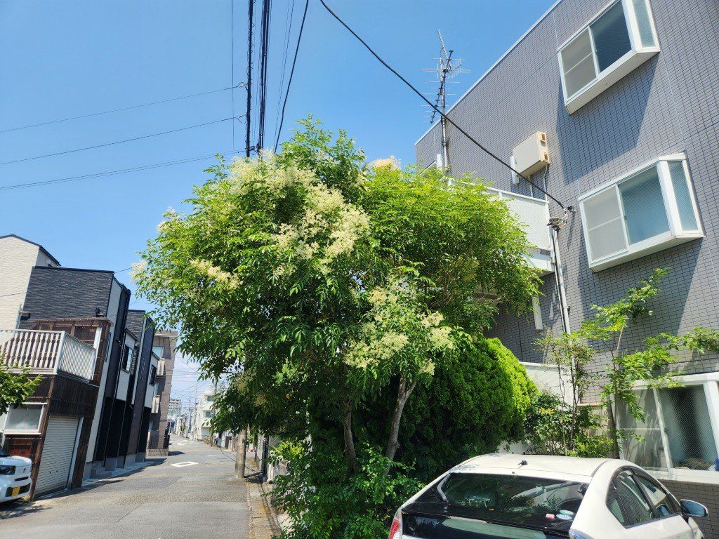 パティオ湘南 その他外観3