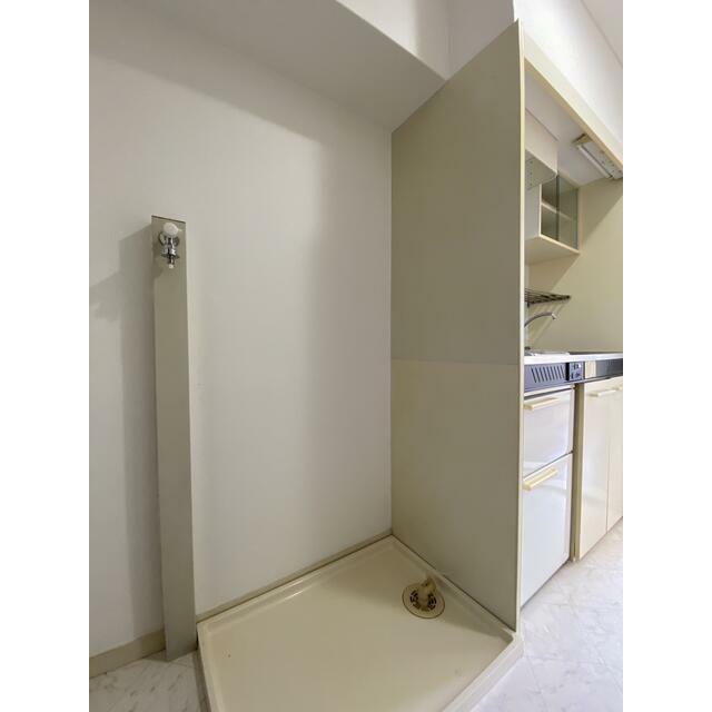カトレアⅠ その他