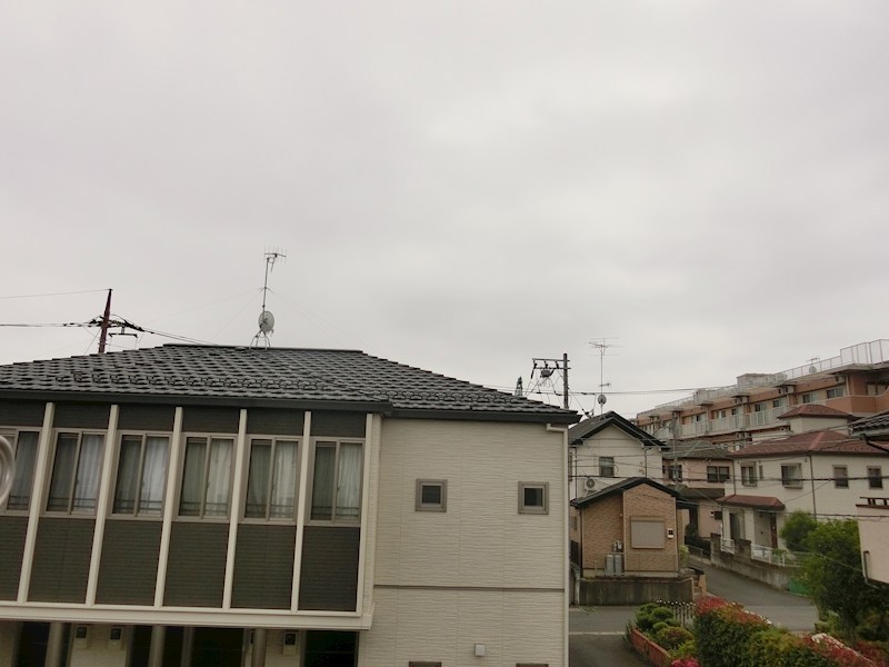 ロータス 眺望