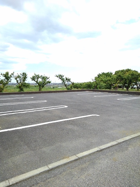 アライブ　Ｂ その他6