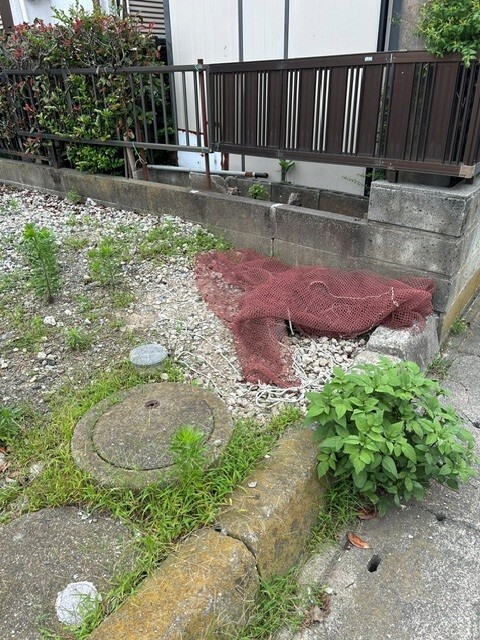 スカイコートハマダ その他