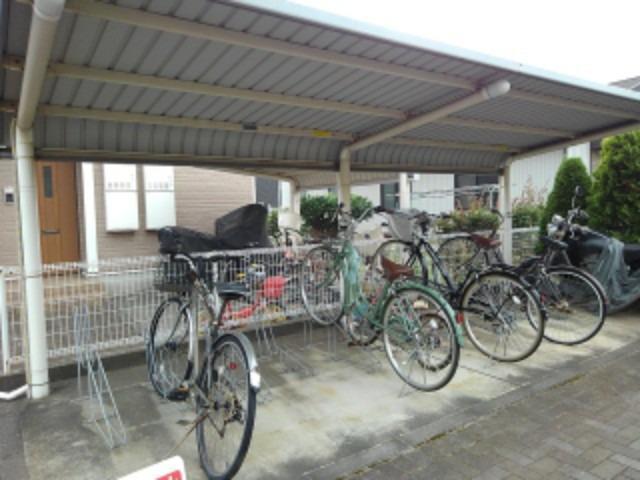 Ｓｏｕｔｈ　Ｂｒｅｅｚｅ　Ｂ その他5