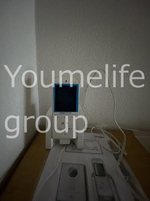 ロイヤル大和 その他6