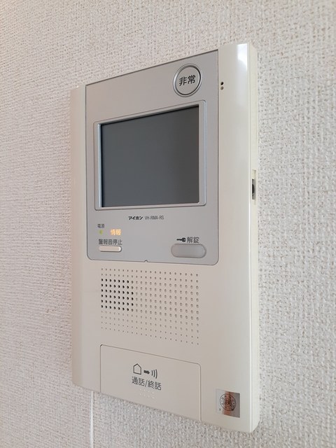 フリシュアイリス セキュリティ