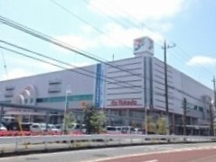 フリシュアイリス その他外観3