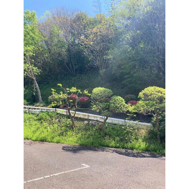 グローリーハイツ 眺望