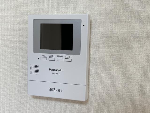 プルメリア その他4