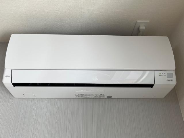プルメリア その他5