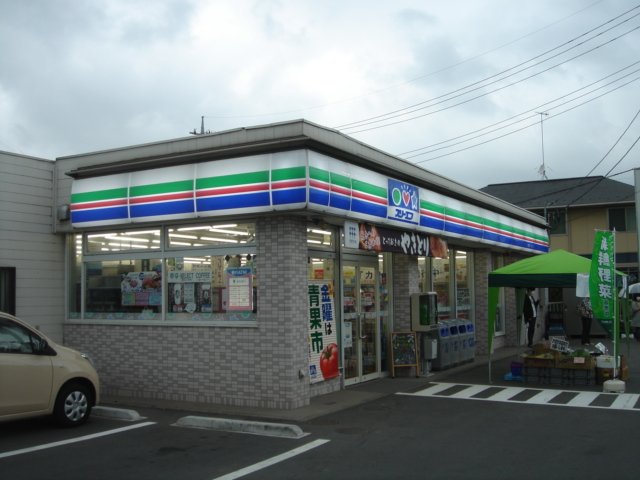 プルメリア その他15