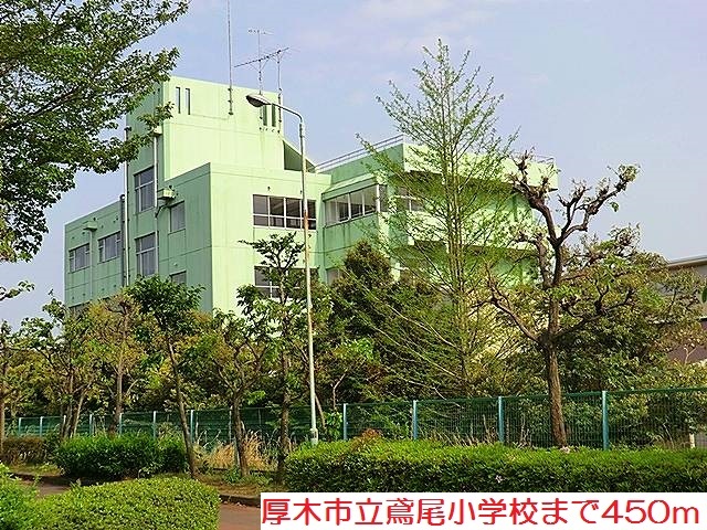 プリムローズ その他