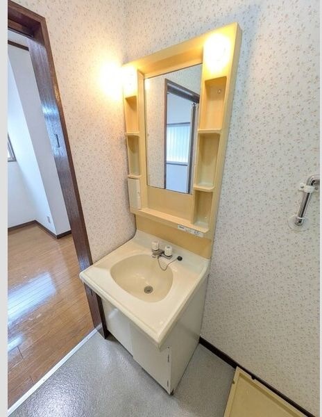 神奈川県厚木市妻田南１丁目 洗面所