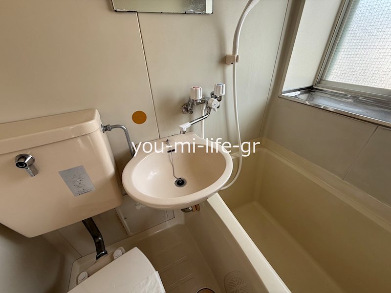相湘第10河内ハイツ 洗面所