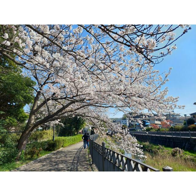 神奈川県横浜市栄区公田町 その他