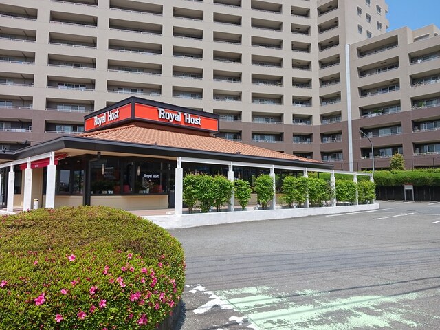 クレシーダ その他