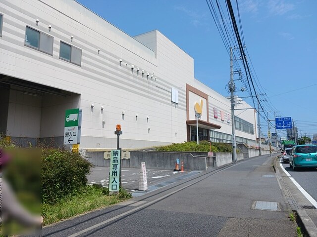 クレシーダ その他