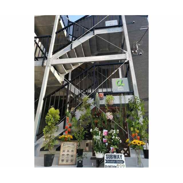 α（アルファ）　ｐａｒｋｓ　ｅａｓｔ エントランス