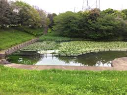クレール秋桜 公園