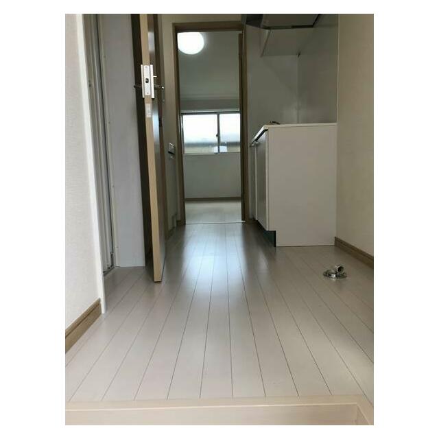 グラッサ花の木の写真3