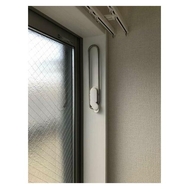 グラッサ花の木の写真11
