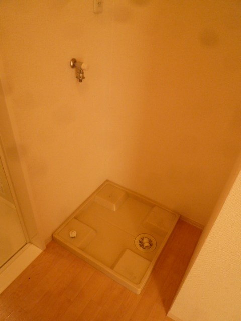 セジュール　レセンテ その他