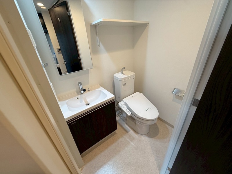 LIME RESIDENCE HIRATSUKA WEST 洗面所