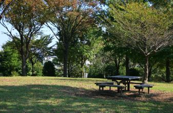 ＪＵＮ湘南 公園