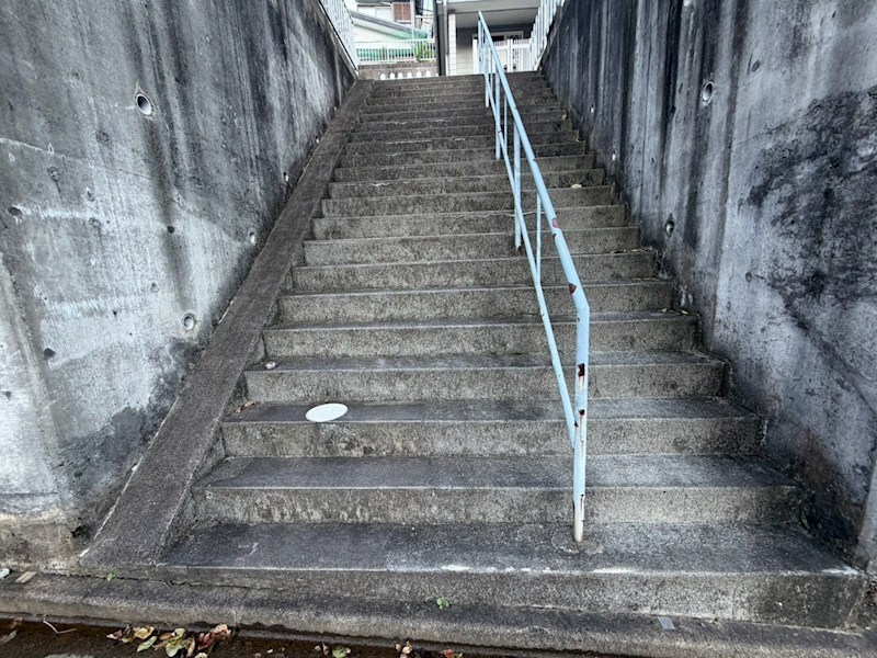 マークハウス その他