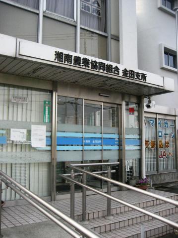 ロカイユ・東栖 その他