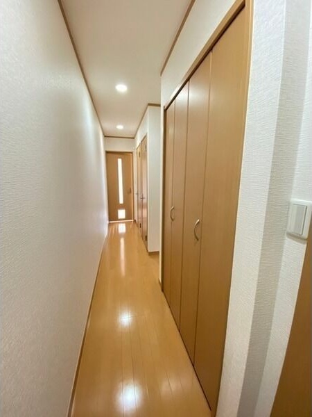 アムール シュシュ 収納