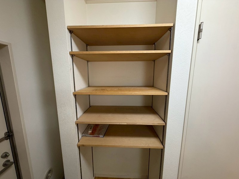 ラティアス その他